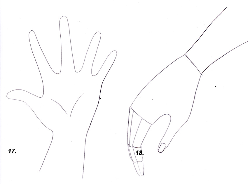 Как нарисовать руки человека поэтапно для начинающих