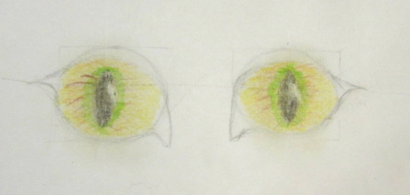 Как нарисовать красивые кошачьи глаза