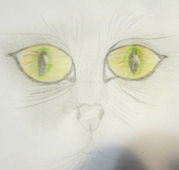 Как нарисовать красивые кошачьи глаза