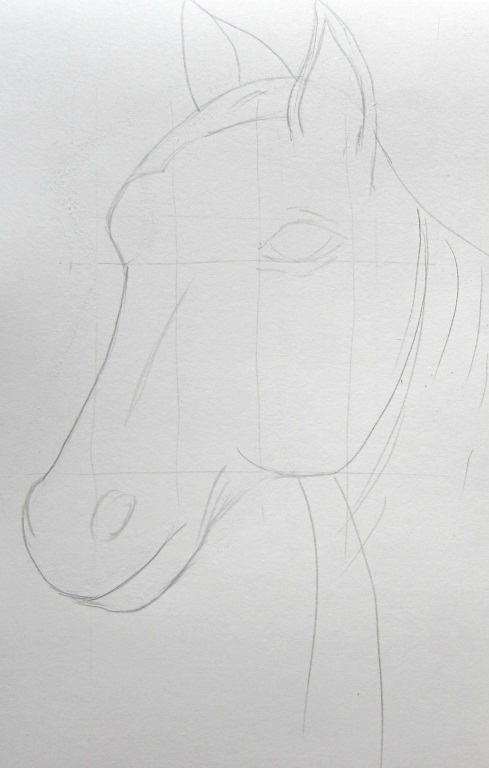 Рисуем голову лошади акварельными карандашами