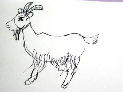 Учимся рисовать шерстку у животных