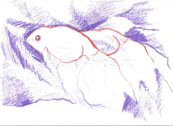Как нарисовать рыбку? Поэтапное рисование