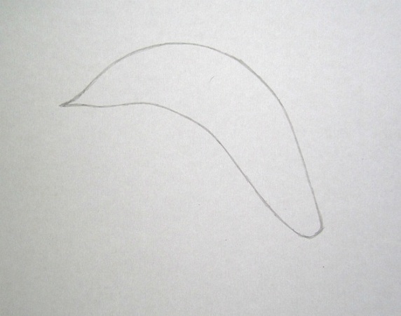 Рисуем дельфина простым карандашом
