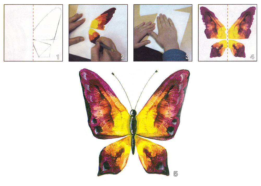 2. Приступаем к рисованию крыльев и головки бабочки