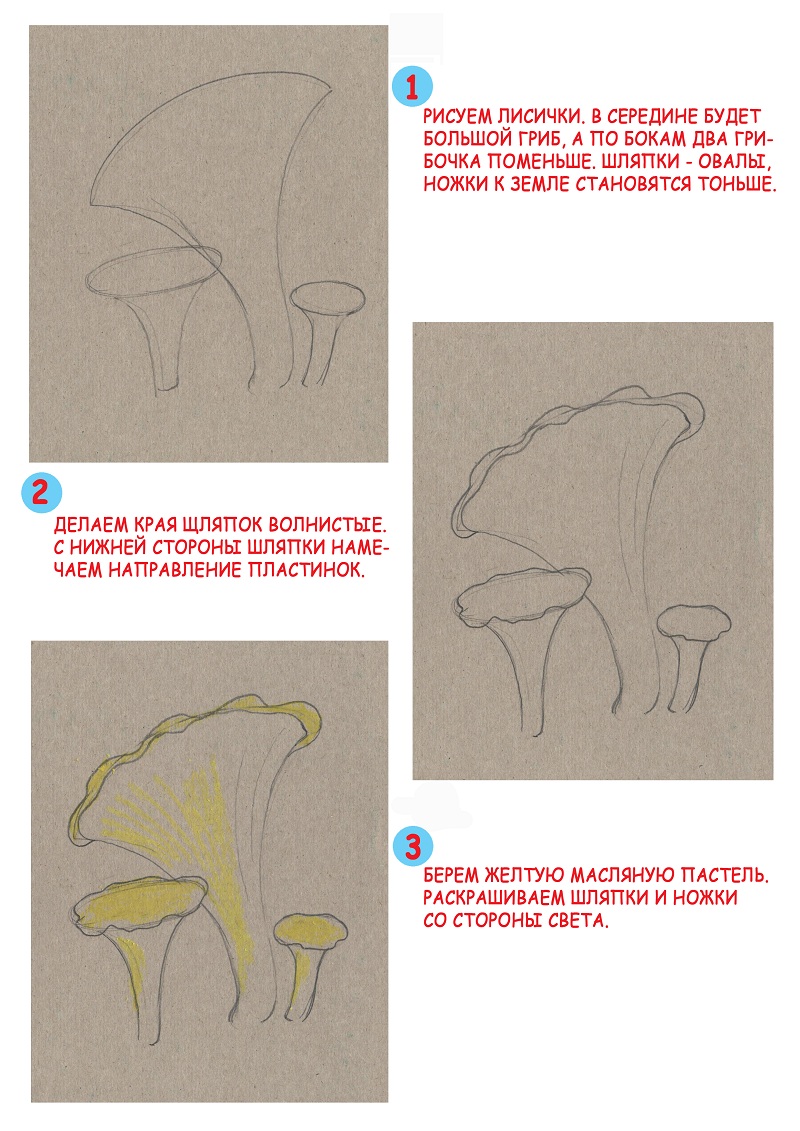 Нарисуем грибы лисички масляной пастелью STABILO Trio.