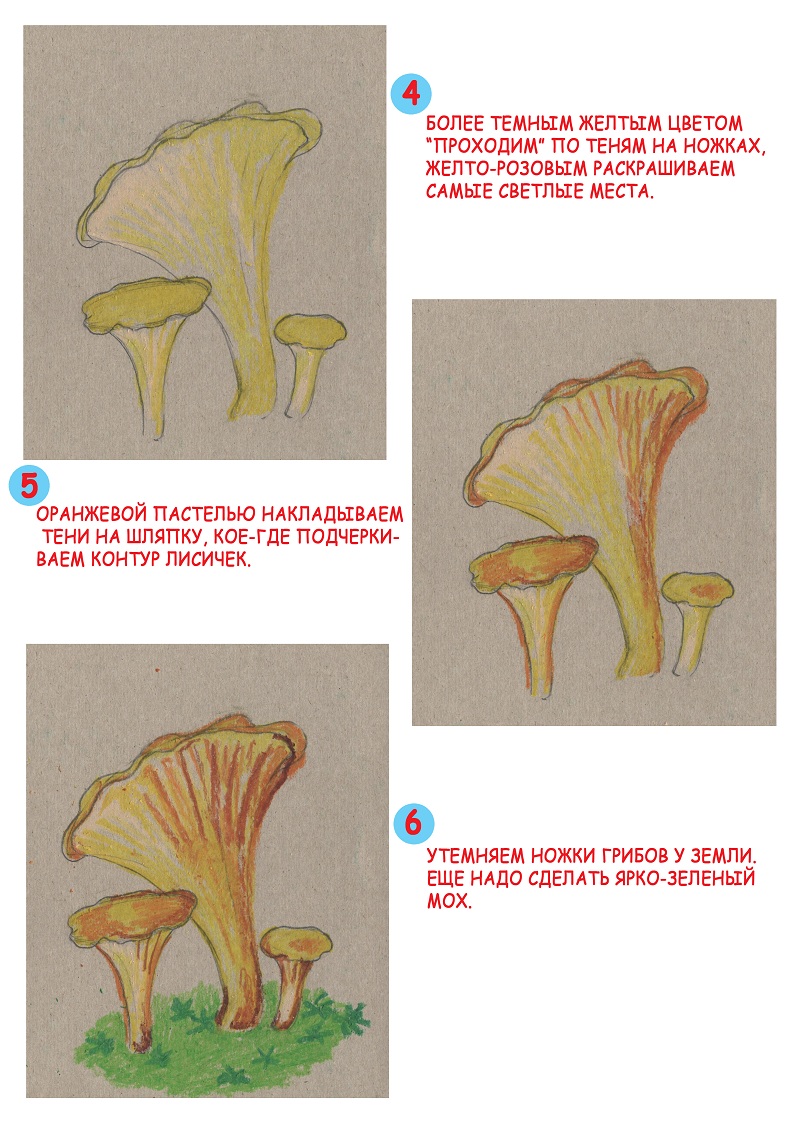 Нарисуем грибы лисички масляной пастелью STABILO Trio.