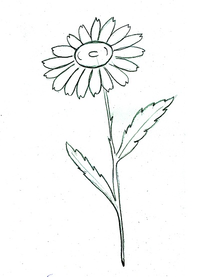 Рисуем цветок ромашки карандашами STABILO aquacolor