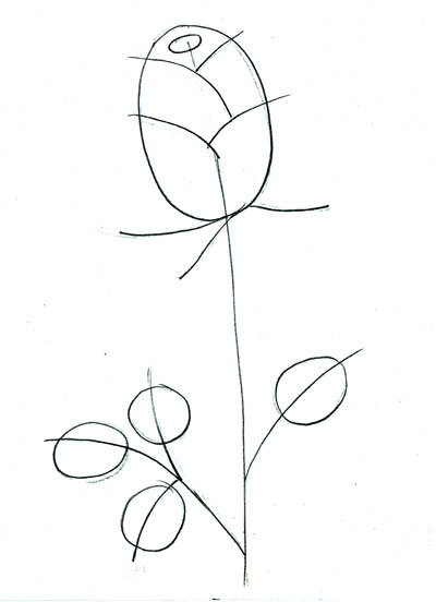 Рисуем   цветок розы поэтапно  цветными карандашами STABILO
