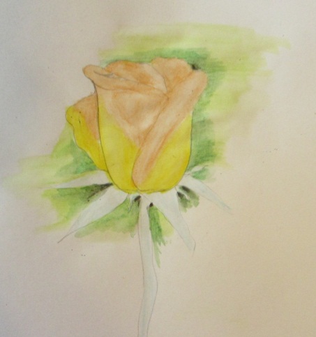 Рисуем розу акварельными карандашами