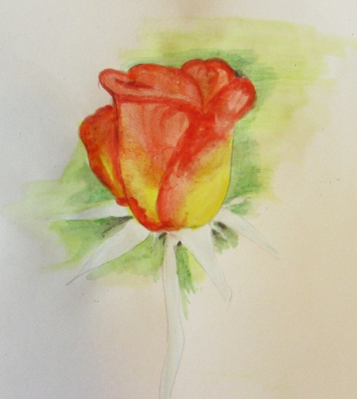 Рисуем розу акварельными карандашами