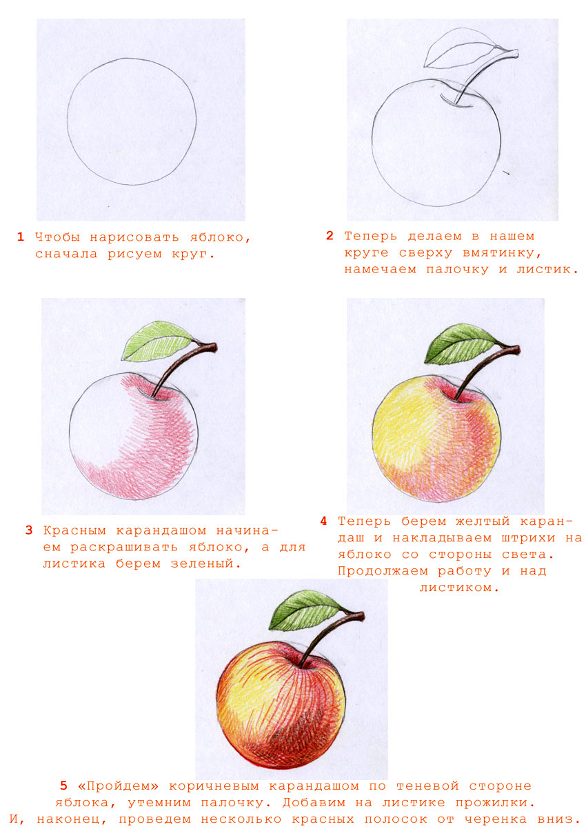 Нарисуем яблоко цветными карандашами Stabilo