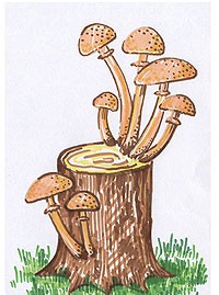 Как нарисовать грибы-опята?