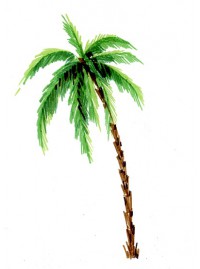 Рисунок пальмы фломастерами STABILO