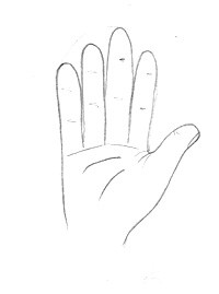 Как рисовать руки и пальцы