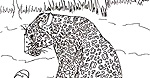 Раскраска Леопард в саванне