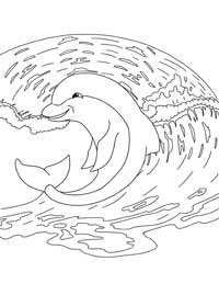 Стоковые векторные изображения по запросу Раскраска дельфины