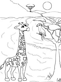 Изображения по запросу Раскраска жираф