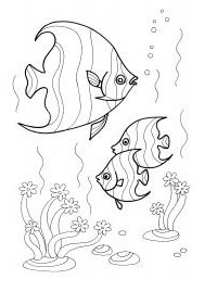 Раскраски рыбки - новые для печати 30+ изображений