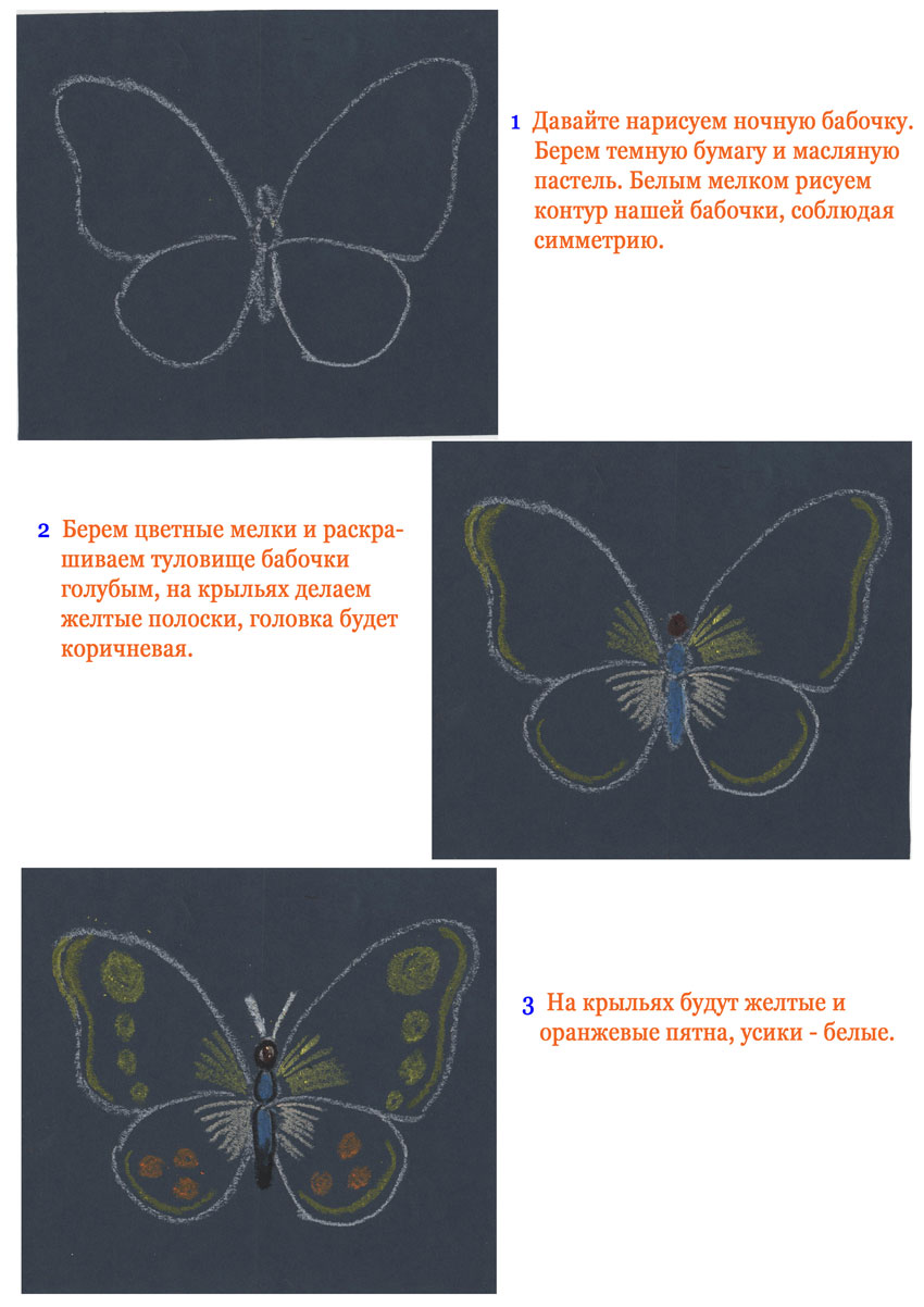 Ночная бабочка (масляная пастель)