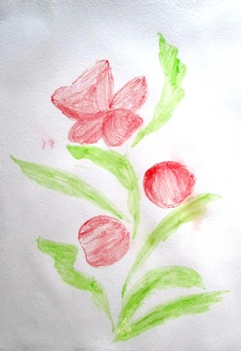 Как рисовать цветы акварелью: 16 советов от Джин Хэйнс - Блог издательства «Манн, Иванов и Фербер»