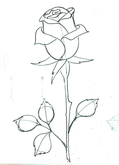 Как нарисовать розу с шипами и стеблем поэтапно — Пошаговые уроки рисования