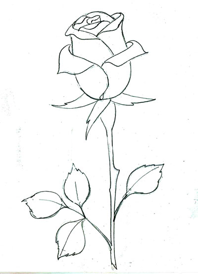 Рисунки роз карандашом для срисовки (50 фото)