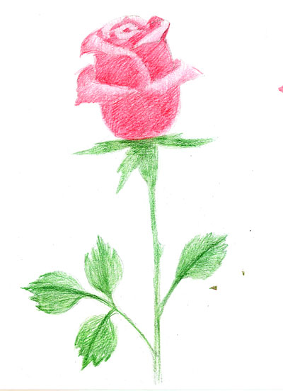 Рисунки розы карандашом для начинающих легкие и красивые (48 фото)