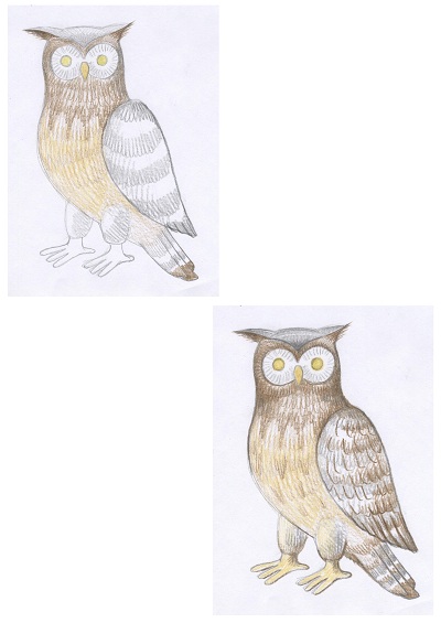 Как нарисовать сову | Рисунок совы поэтапно карандашом