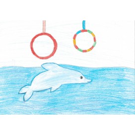 Мечтаю побывать в дельфинарии и поплавать с дельфинами