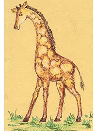 Рисуем жирафа масляной пастелью STABILO Trio