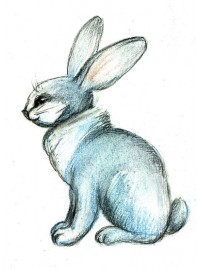 Рисуем  зайца поэтапно цветной пастелью STABILO carbOthello