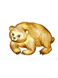 Рисуем  медведя цветными карандашами STABILO