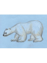 Рисуем  белого медведя  поэтапно масляной пастелью STABILO