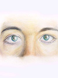 Изображение частей лица: Глаза и брови
