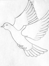Как нарисовать белого летящего голубя