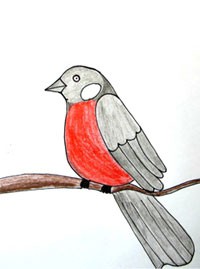 Рисуем птиц для комикса