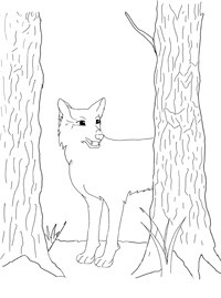 Раскраска Бегущий волк в лесу | Раскраски для детей печать онлайн