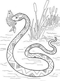 Раскраска змея — Все для детского сада